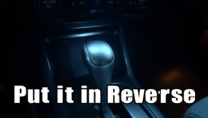 Put It in Reverse Terry: Origin, Meaning, and Viral Meme Explained